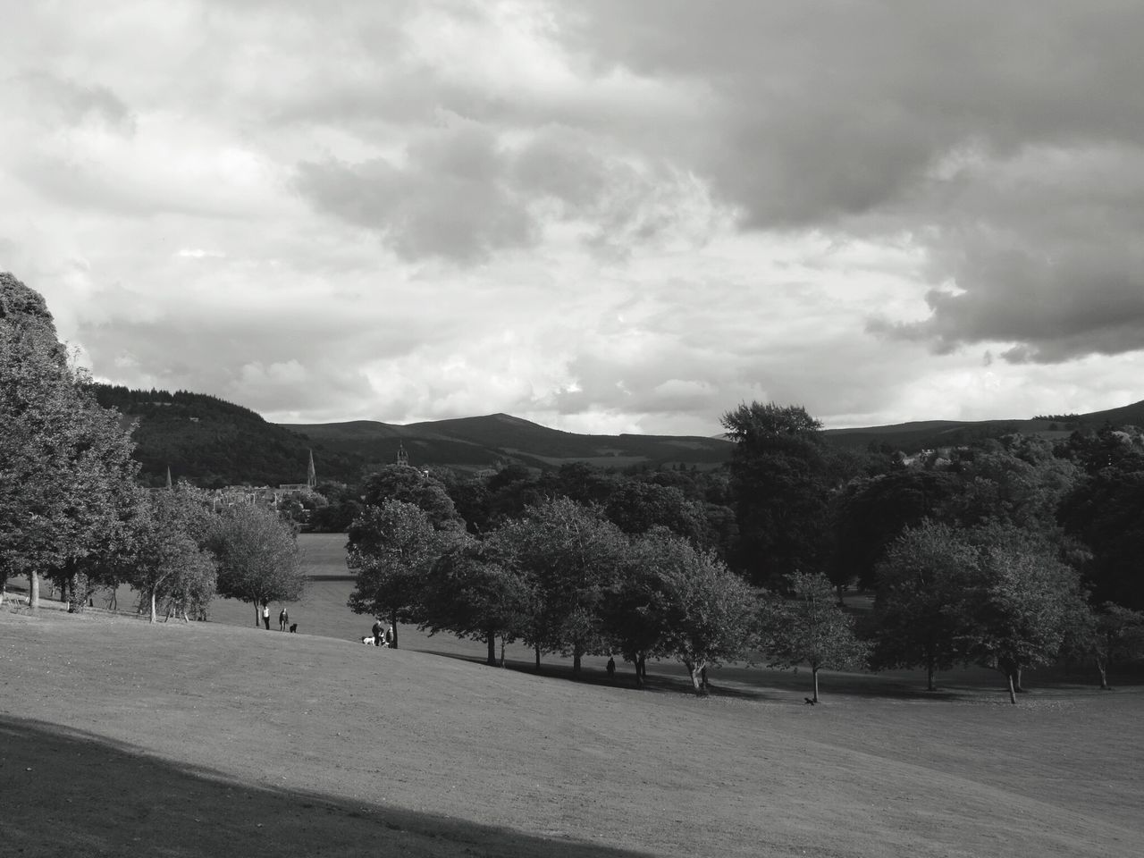 TREES ON LANDSCAPE AGAINST MOUNTAINS