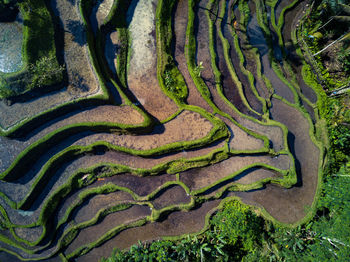 View of agricultural field