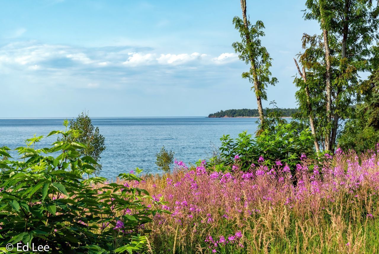 SCENIC VIEW OF SEA AGAINST SKY DURING DUSK