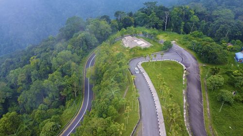 High angle view of road amidst trees