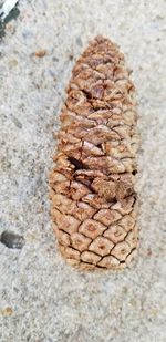 High angle view of bread