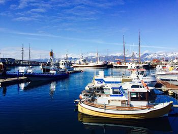 Boats moored at harbor