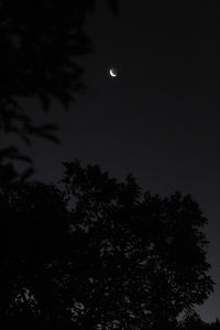 Low angle view of silhouette trees against sky at night