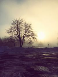 Bare tree by snow covered field in foggy weather