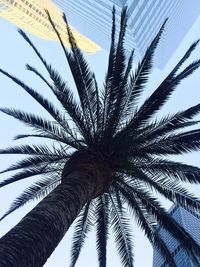 Low angle view of palm tree against sky