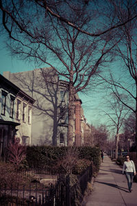 Bare trees in front of building