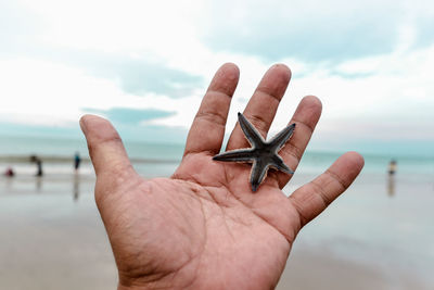 Cropped hand holding starfish at beach