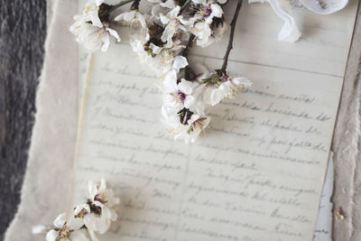 Almond tree branch with blossoms resting on handwritten papers