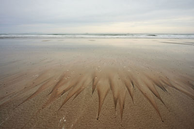 Wave traces on sandy shore