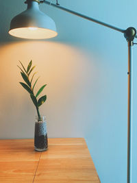 Potted plant on table against illuminated wall at home