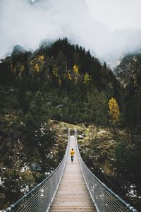 Person jogging on boardwalk amidst trees against sky
