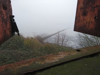 Water splashing on tree against sky