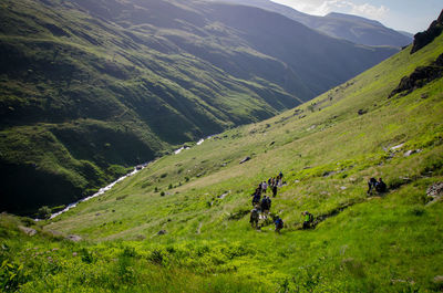 Scenic view of mountains