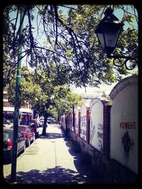 Street light on footpath in city