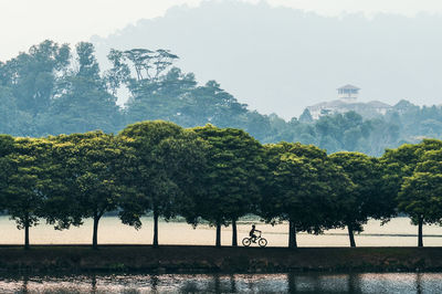 Trees on landscape against sky