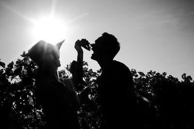 Silhouette woman feeding grapes to boyfriend against sky