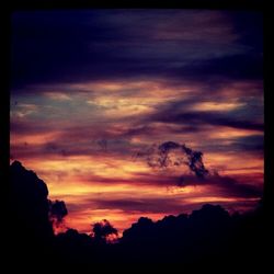 Silhouette of trees against cloudy sky