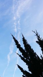 Low angle view of vapor trail against sky