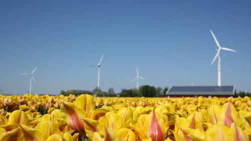 View of rural landscape