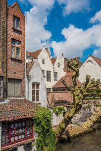 Buildings in town against sky