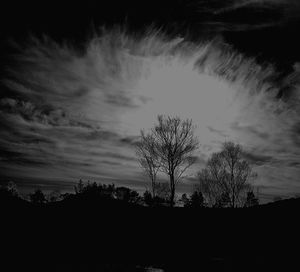 Low angle view of silhouette trees against sky