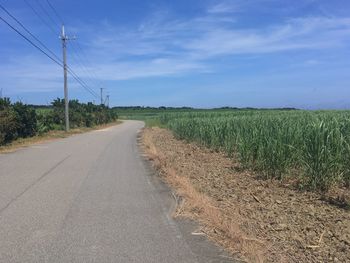 Road amidst agricultural field against sky