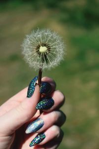 Cropped hand of woman with nail art holding dandelion