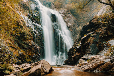 Scenic view of waterfall in forest