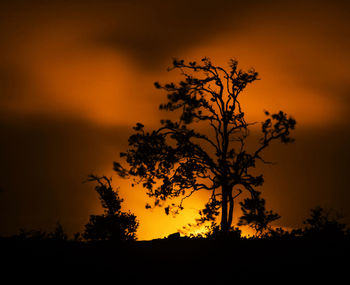 Silhouette tree on field against orange sky