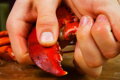 Close-up of hand holding red chili