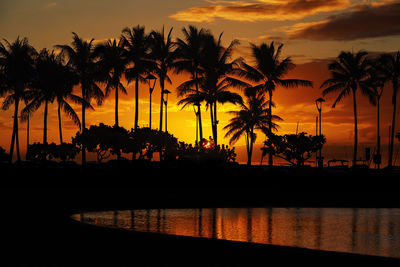 Silhouette palm trees by swimming pool against sky during sunset