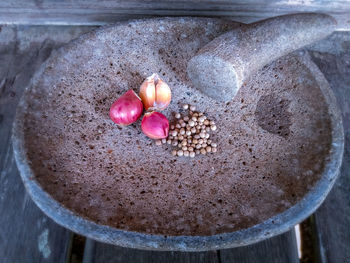 High angle view of pink flowers in bowl