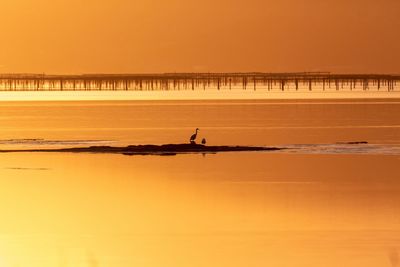 Scenic view of sea against orange sky