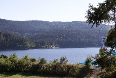 Scenic view of lake in forest against sky