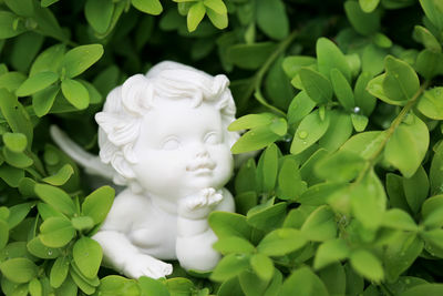 Close-up of white sculpture against plants