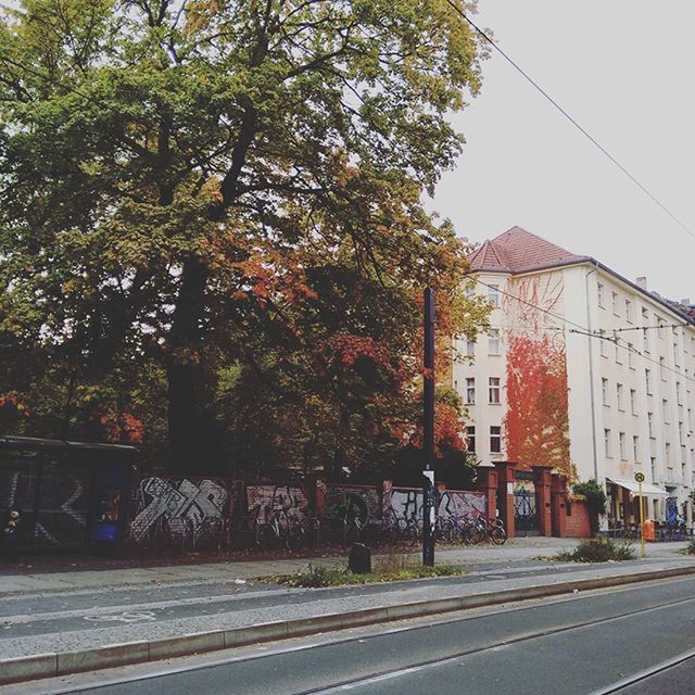 building exterior, architecture, built structure, tree, street, road, transportation, residential structure, city, house, residential building, car, day, sidewalk, outdoors, autumn, clear sky, land vehicle, building, sky