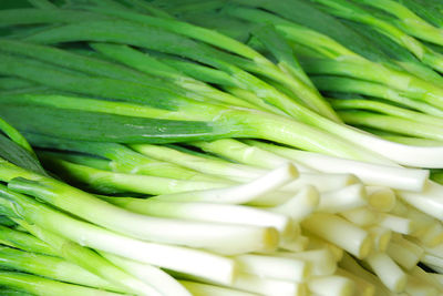 Full frame shot of leek