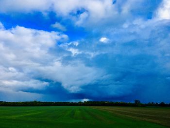 Scenic view of agricultural field against sky