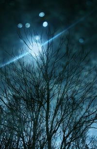 Low angle view of bare tree against sky