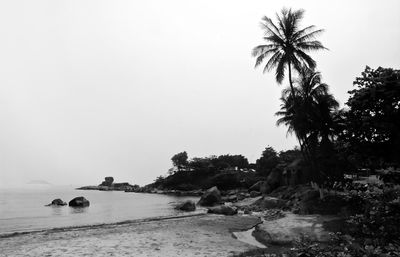 Scenic view of sea against clear sky