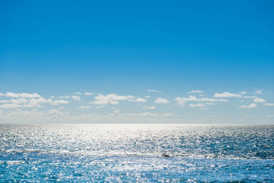 Seascape with silver sunlight reflection, calm waves, bright sky and white clouds