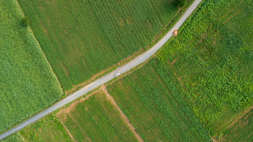 High angle view of agricultural field