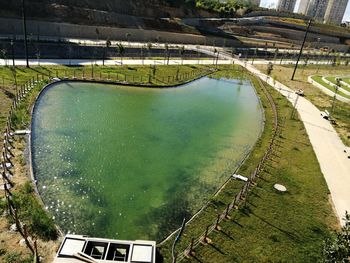 High angle view of lake along plants