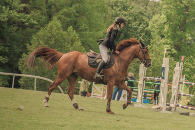 Horses riding horse in park