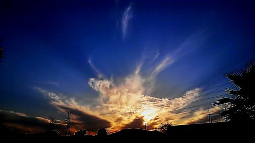 Low angle view of silhouette trees against sky at sunset