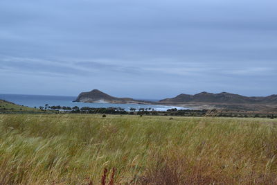 Scenic view of field by sea against sky