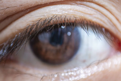 Close-up of human eye