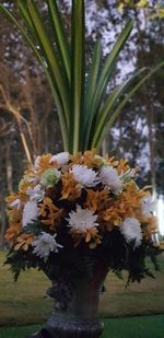Close-up of flower growing on grass