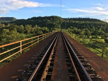 Railroad tracks along plants and trees against sky