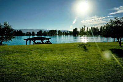 Scenic view of grass and trees against sky